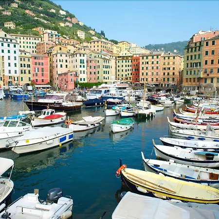 酒店 La Camogliese 3*