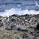La Camogliese Camogli
