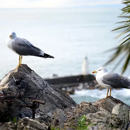 La Camogliese Hotel Camogli