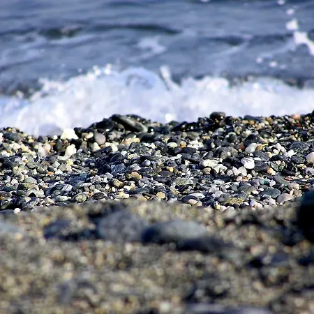 La Camogliese Camogli
