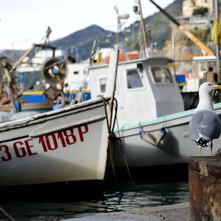 La Camogliese Hotel Camogli