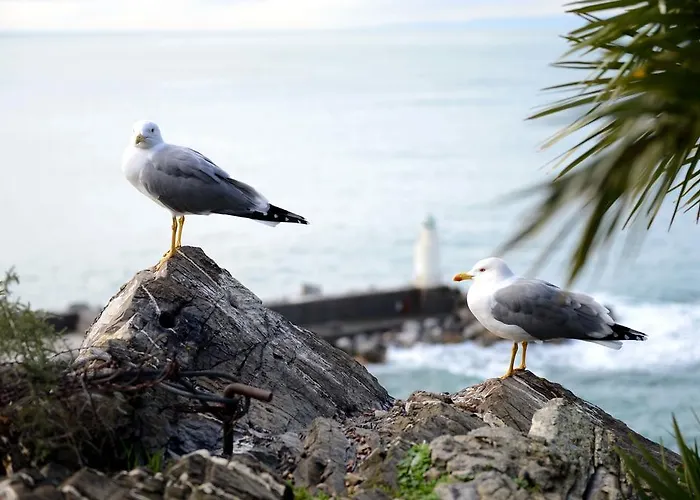 La Camogliese Hotel Camogli
