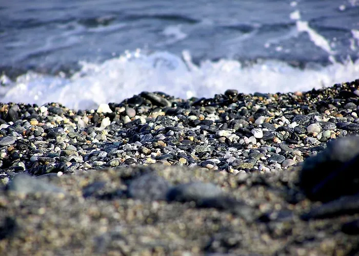 La Camogliese Camogli