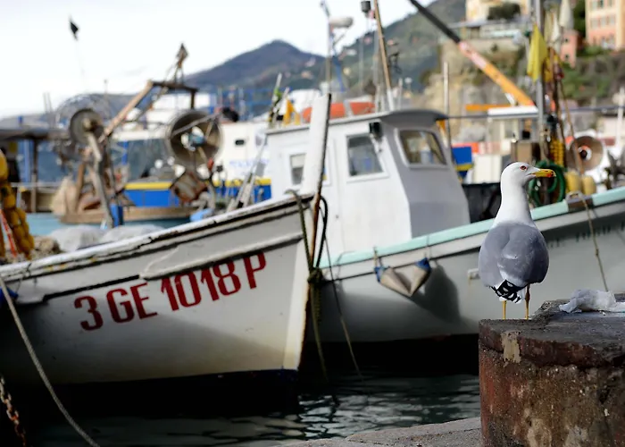 La Camogliese Hotel Camogli